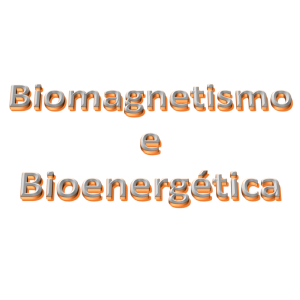 HÉRICA FELISMINO PEROBA HÉRICA FELISMINO PEROBA