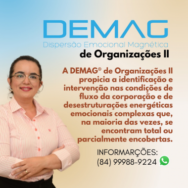 DEMAG® de Organizações II